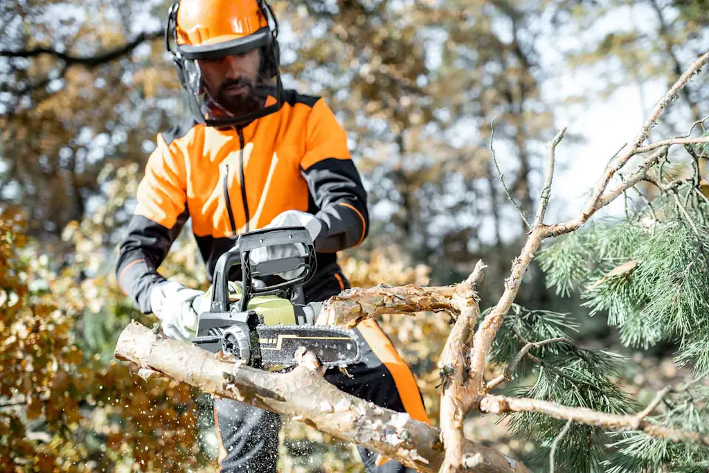 Land Clearing in Indianapolis